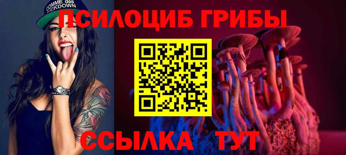 Псилоцибиновые грибы мицелий  Псилоцибиновые грибы GOLDEN TEACHER  Вход с VPN  Псков 